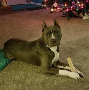 Meet your Posher, Steffon